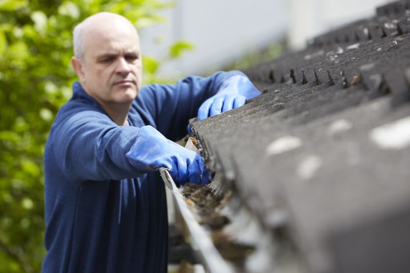 Gutter Cleaning and Inspection