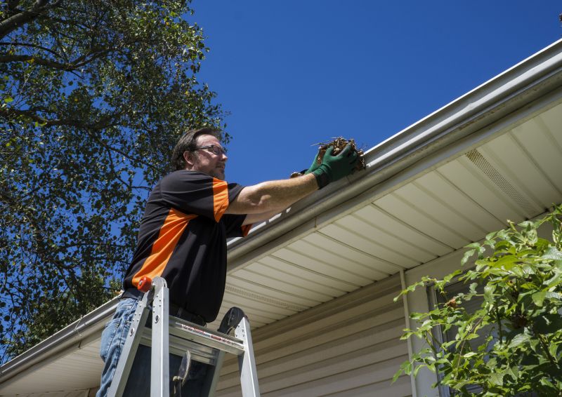Expert Gutter Care in Warrenton
